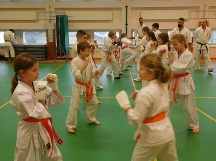 Zimowa Szkoła Karate 2019
